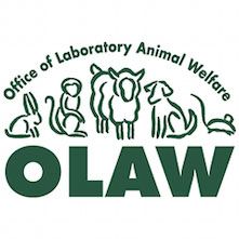 Caricatures of various animals | "Office of Laboratory Animal Welfare OLAW"