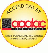 Gold circle containing text | "Accredited by: aaalac international, where science and responsible animal care connect.' 